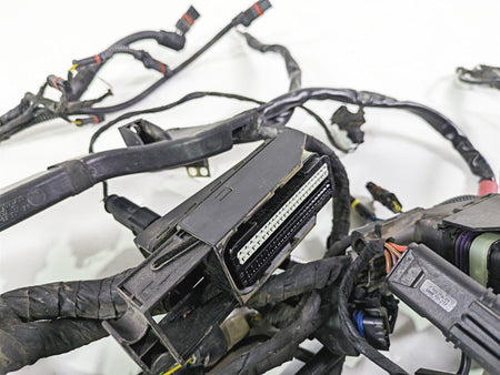 2006 BMW R1200GS K255 Adv Main & Engine Wiring Harness 61117699821 {{ shop.shopifyCountryName }} - Mototech271