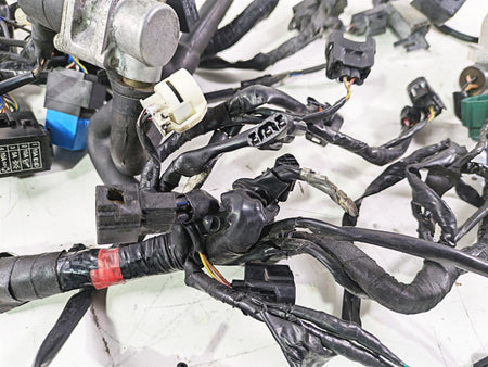 2012 Triumph Daytona 675 Main Wiring Harness Loom - For Parts T2501679 {{ shop.shopifyCountryName }} - Mototech271