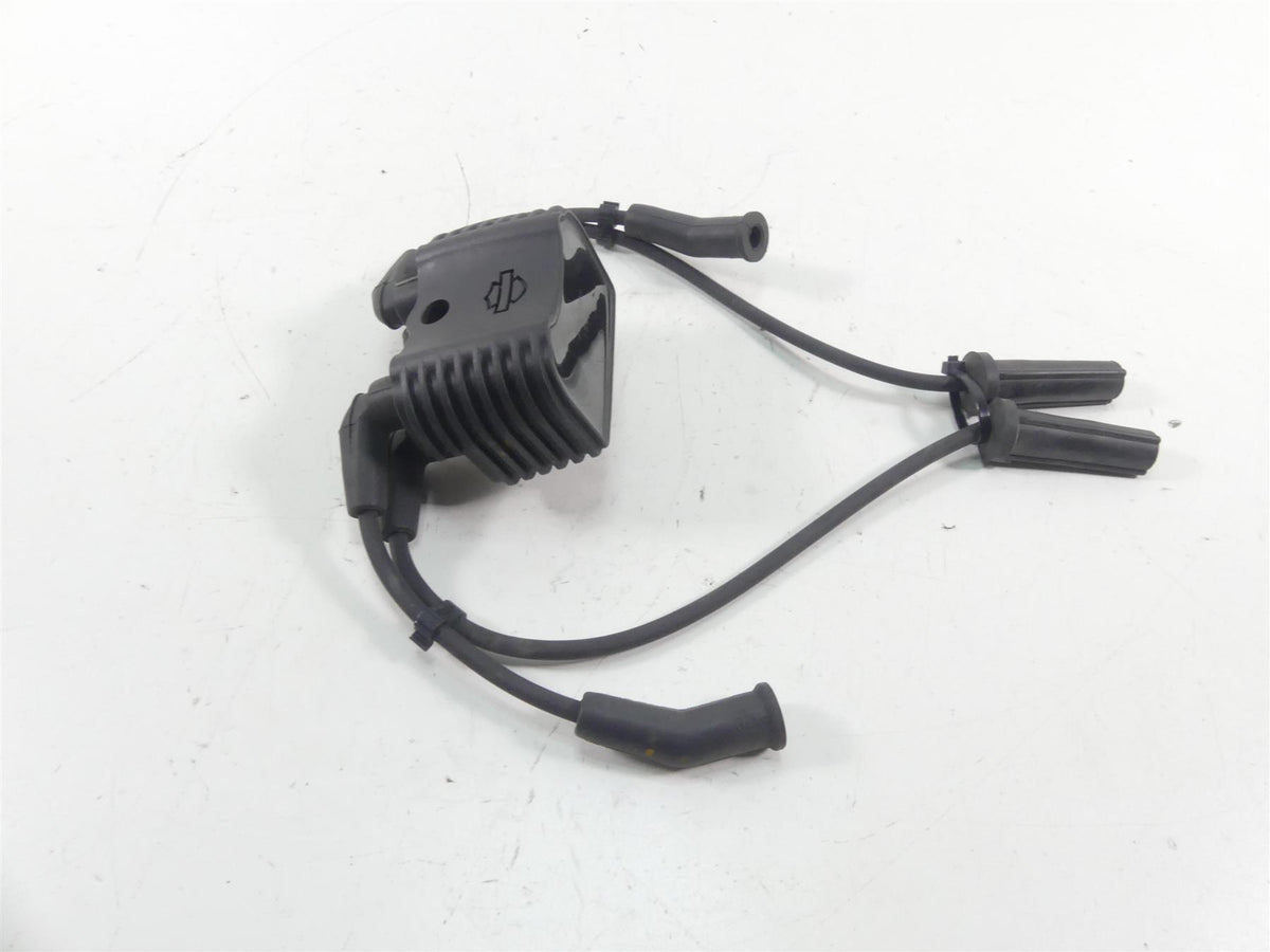 2021 Harley Softail FLSB Sport Glide Ignition Coil Wires Plugs 31600067 {{ shop.shopifyCountryName }} - Mototech271