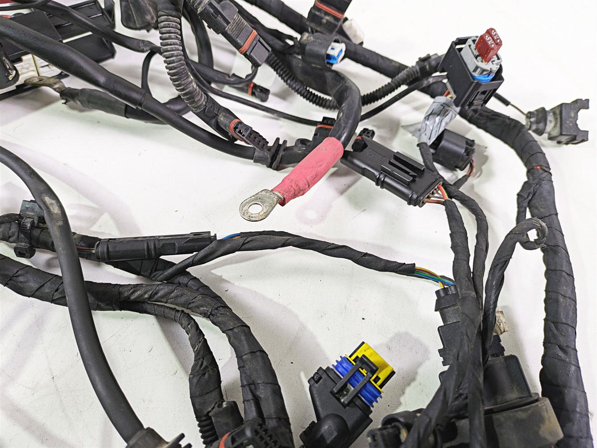 2009 BMW R1200GS K255 Adv Main & Engine Wiring Harness Abs Esa 61117726669 {{ shop.shopifyCountryName }} - Mototech271