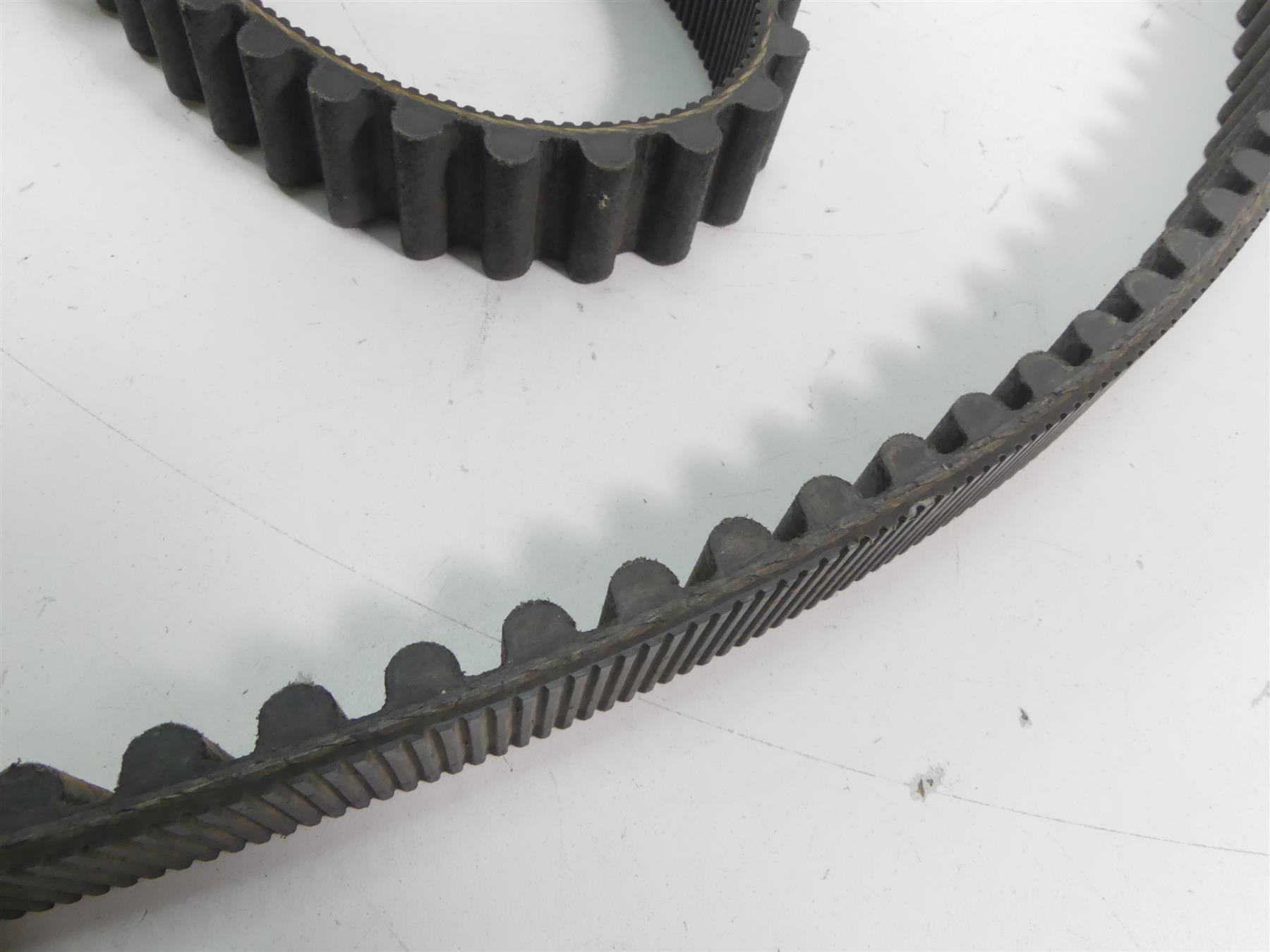 2001 Harley Davidson XL1200 Sportster Rear Drive Belt 128T 1 1/8" 40022-91 {{ shop.shopifyCountryName }} - Mototech271