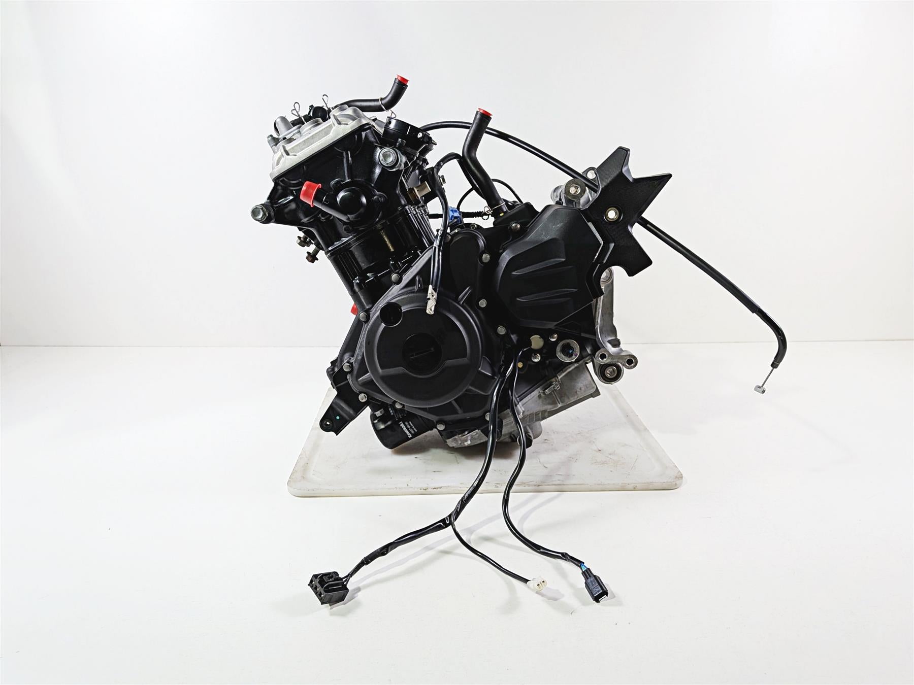 2024 Kawasaki EX500 Ninja 40th An. Nice Clean Running Engine Motor 1K 14101-0023 {{ shop.shopifyCountryName }} - Mototech271