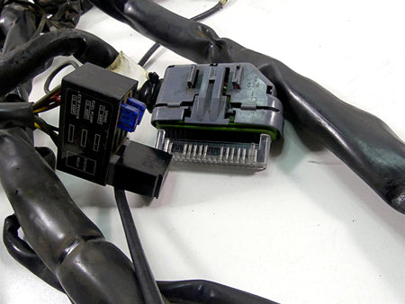 2003 Harley Touring FLHTCI E-Glide 100TH Main Wiring Harness Loom 70985-03 {{ shop.shopifyCountryName }} - Mototech271