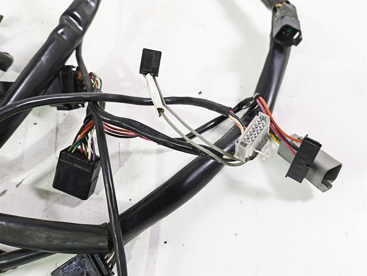 2002 Harley Dyna FXDL Low Rider Main Wiring Harness Loom - Read 69558-01 {{ shop.shopifyCountryName }} - Mototech271
