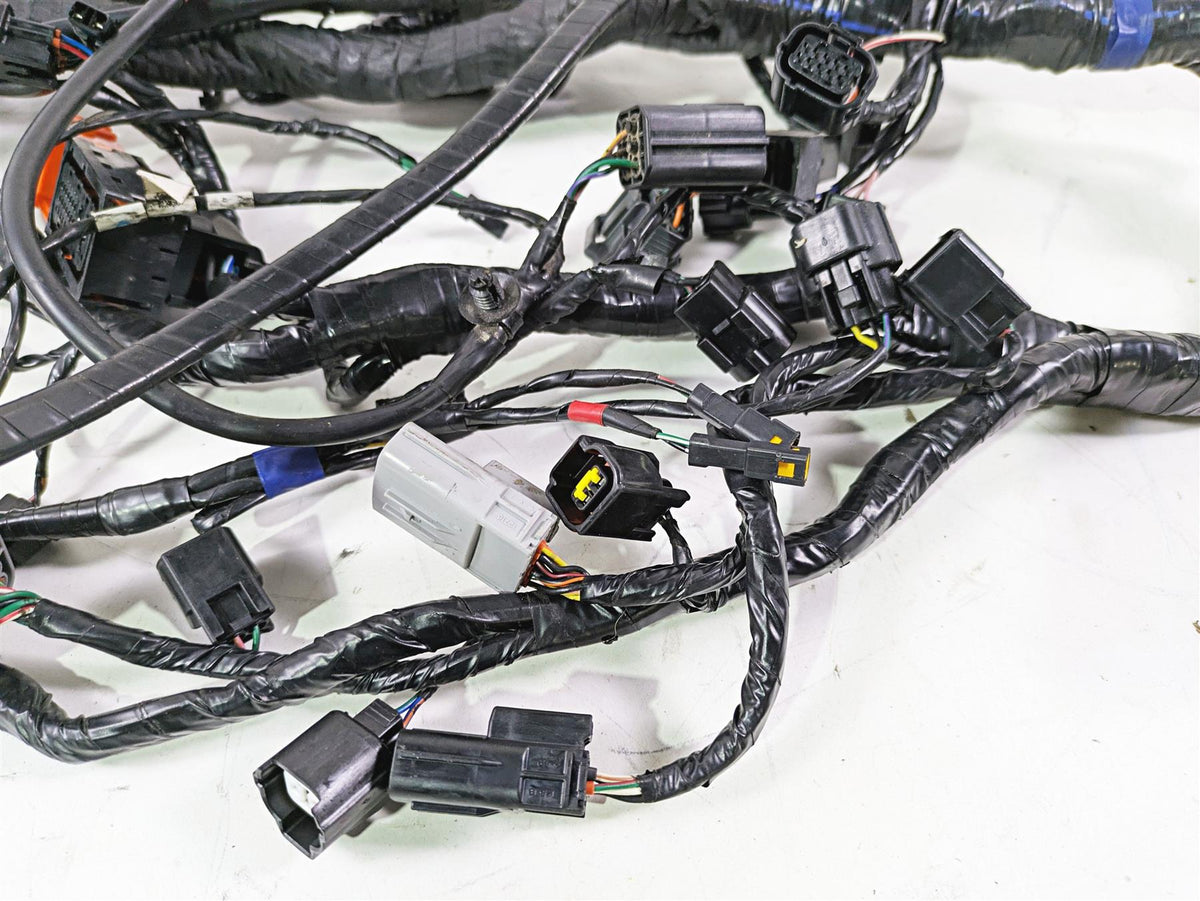 2013 Triumph Tiger 1215 Explorer Wiring Harness Loom - No Cuts T2501095 {{ shop.shopifyCountryName }} - Mototech271
