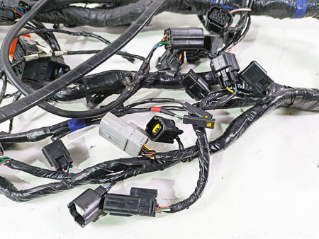 2013 Triumph Tiger 1215 Explorer Wiring Harness Loom - No Cuts T2501095 {{ shop.shopifyCountryName }} - Mototech271