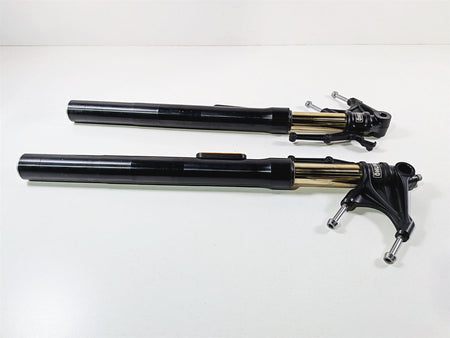 2019 Triumph Speed Triple RS 1050 Black Ohlins Front Fork Legs T2044034 T2044036 {{ shop.shopifyCountryName }} - Mototech271