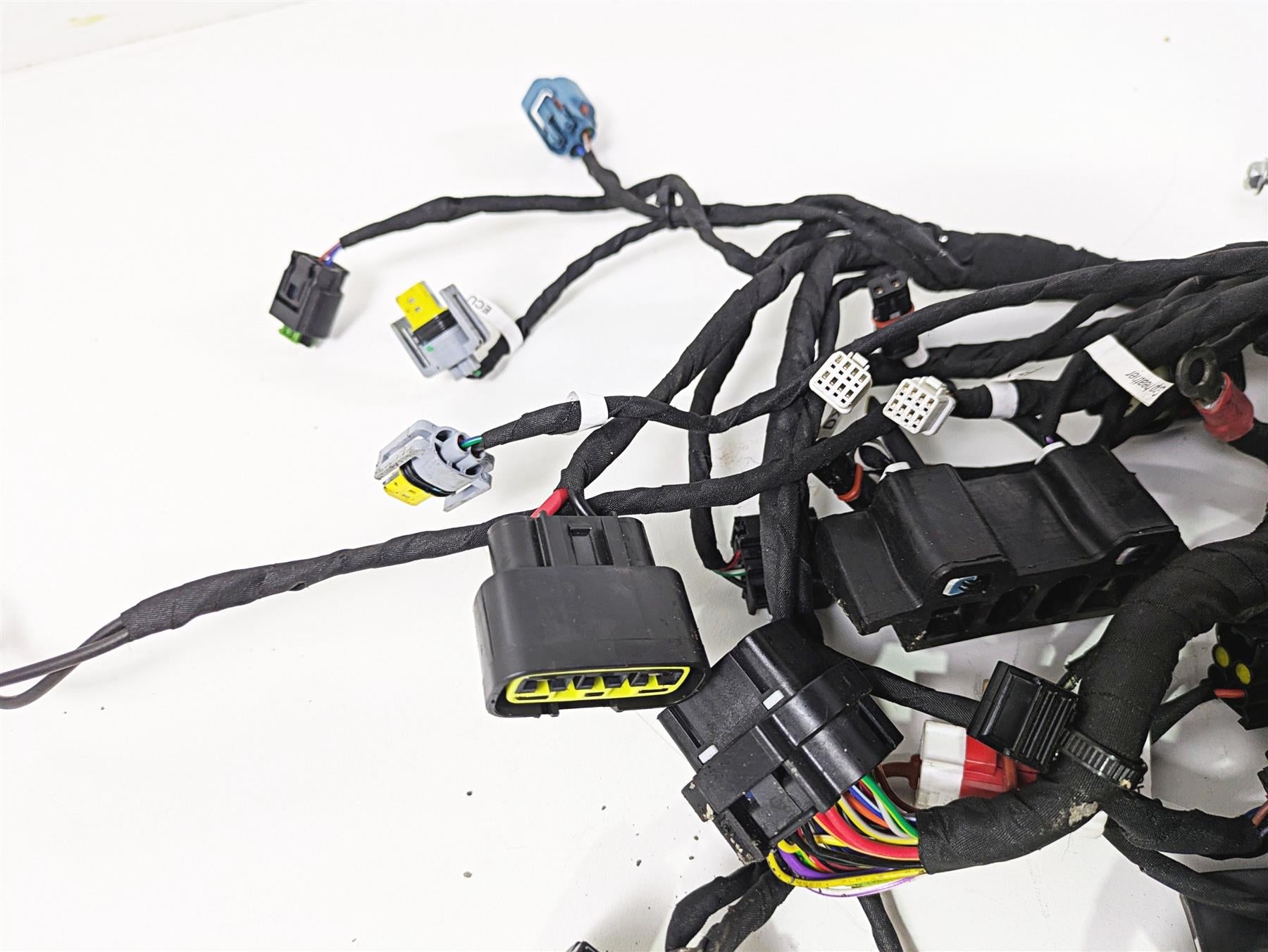 2023 Ducati Monster 937 SP Wiring Harness Loom -No Cuts 5101H921F {{ shop.shopifyCountryName }} - Mototech271