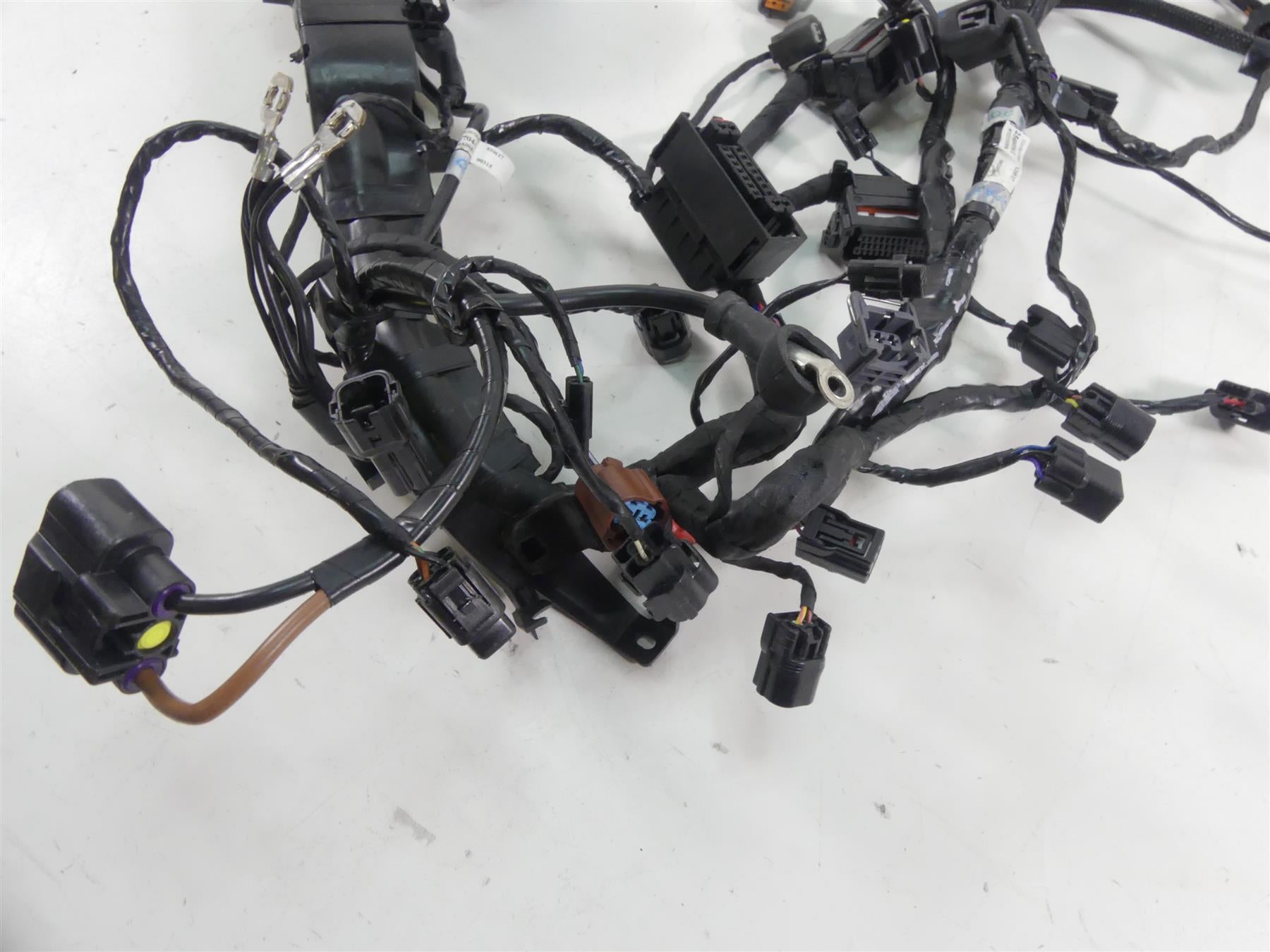 2018 Triumph Street Triple 765RS Main Wiring Harness Loom T2508056 {{ shop.shopifyCountryName }} - Mototech271