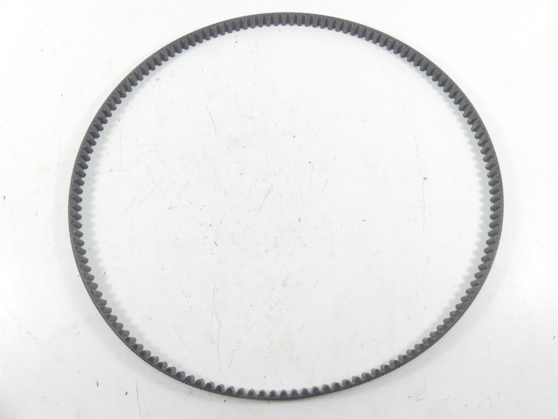 2016 Indian Scout Sixty Rear Main Drive Belt 141T 22mm 3211176 {{ shop.shopifyCountryName }} - Mototech271