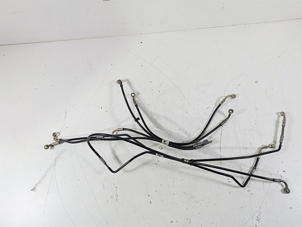 2015 Triumph Tiger Explorer XC Front Rear Abs Brake Line Set T2025020 T2025030 {{ shop.shopifyCountryName }} - Mototech271