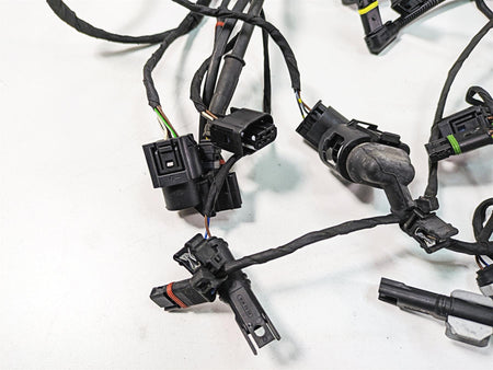 2016 BMW R1200R K53 Main & Engine Wiring Harness Esa Abs Heat Set 61118554353 {{ shop.shopifyCountryName }} - Mototech271