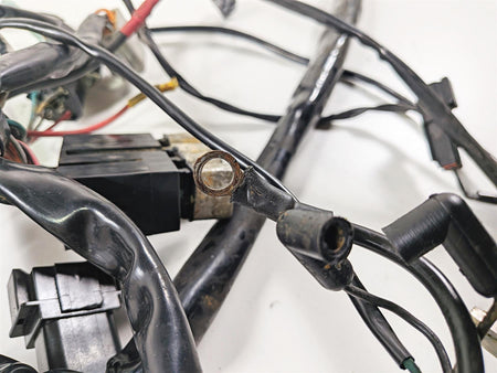 1998 Harley Dyna FXDL Low Rider Wiring Harness Loom - Read 69558-98 {{ shop.shopifyCountryName }} - Mototech271
