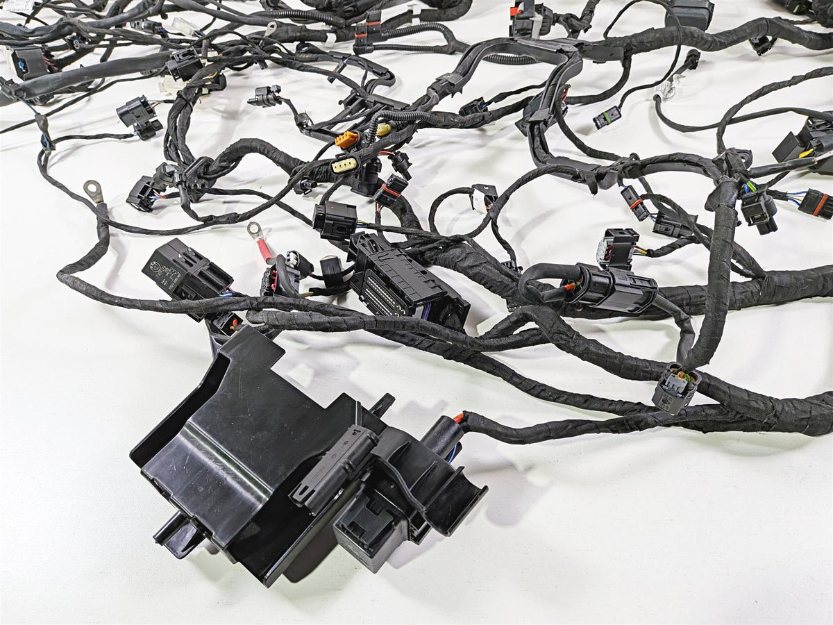 2023 BMW R1250RT RTP K52 Main & Engine Wiring Harness - No Cuts 61111683551 {{ shop.shopifyCountryName }} - Mototech271