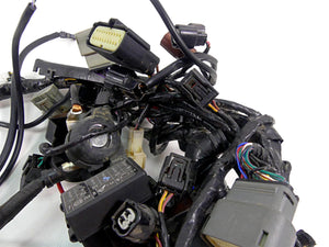 2022 Triumph Speed Triple 1200 RS Wiring Harness Loom -No Cuts T2505123