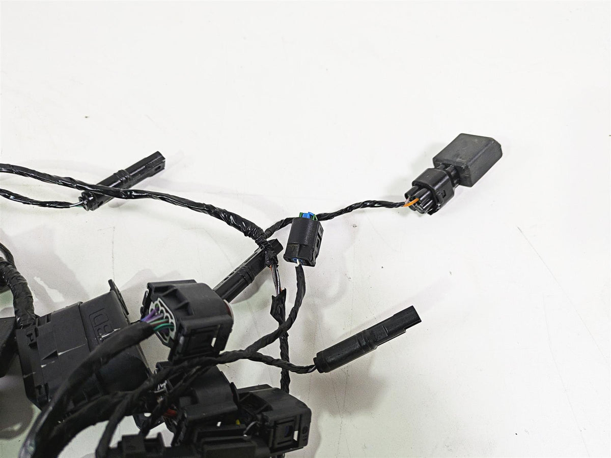 2023 BMW G310R K03 Wiring Harness Loom - No Cuts 61111541006 {{ shop.shopifyCountryName }} - Mototech271