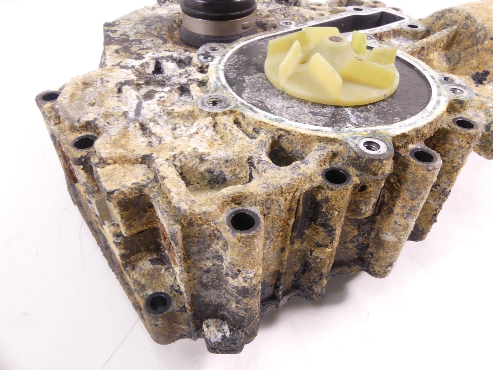 2011 Sea-Doo 4-Tec GTI SE 130 Timing Drive & Water Pump Cover 420910527 {{ shop.shopifyCountryName }} - Mototech271