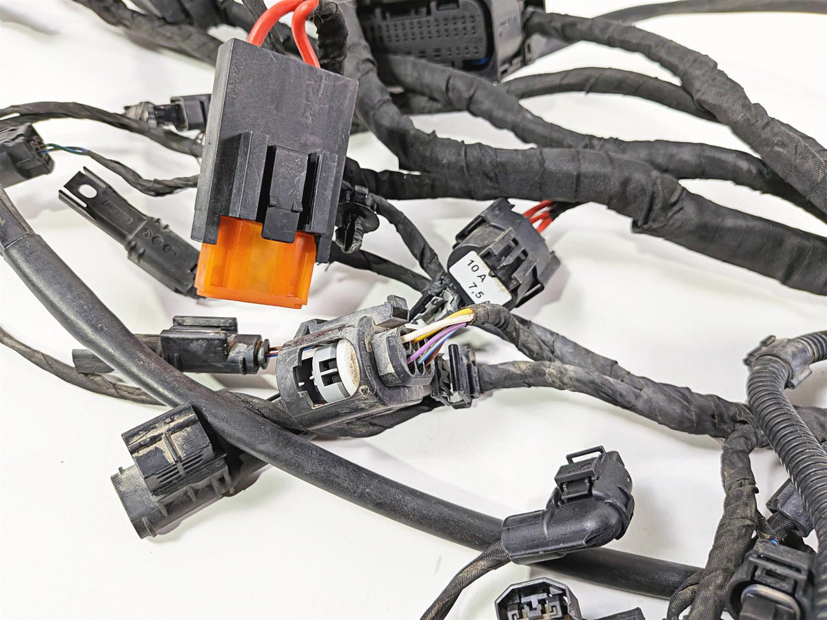 2023 BMW F850GS K81 Main Wiring Harness Loom - No Cuts 61118409327 {{ shop.shopifyCountryName }} - Mototech271