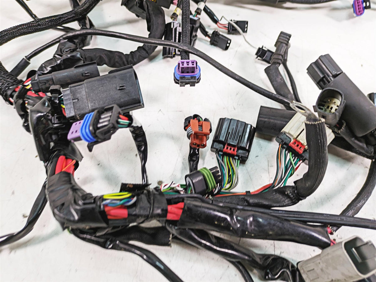 2017 Harley XL883 N Sportster Iron Wiring Harness Loom - No Abs & Key 69200072B {{ shop.shopifyCountryName }} - Mototech271