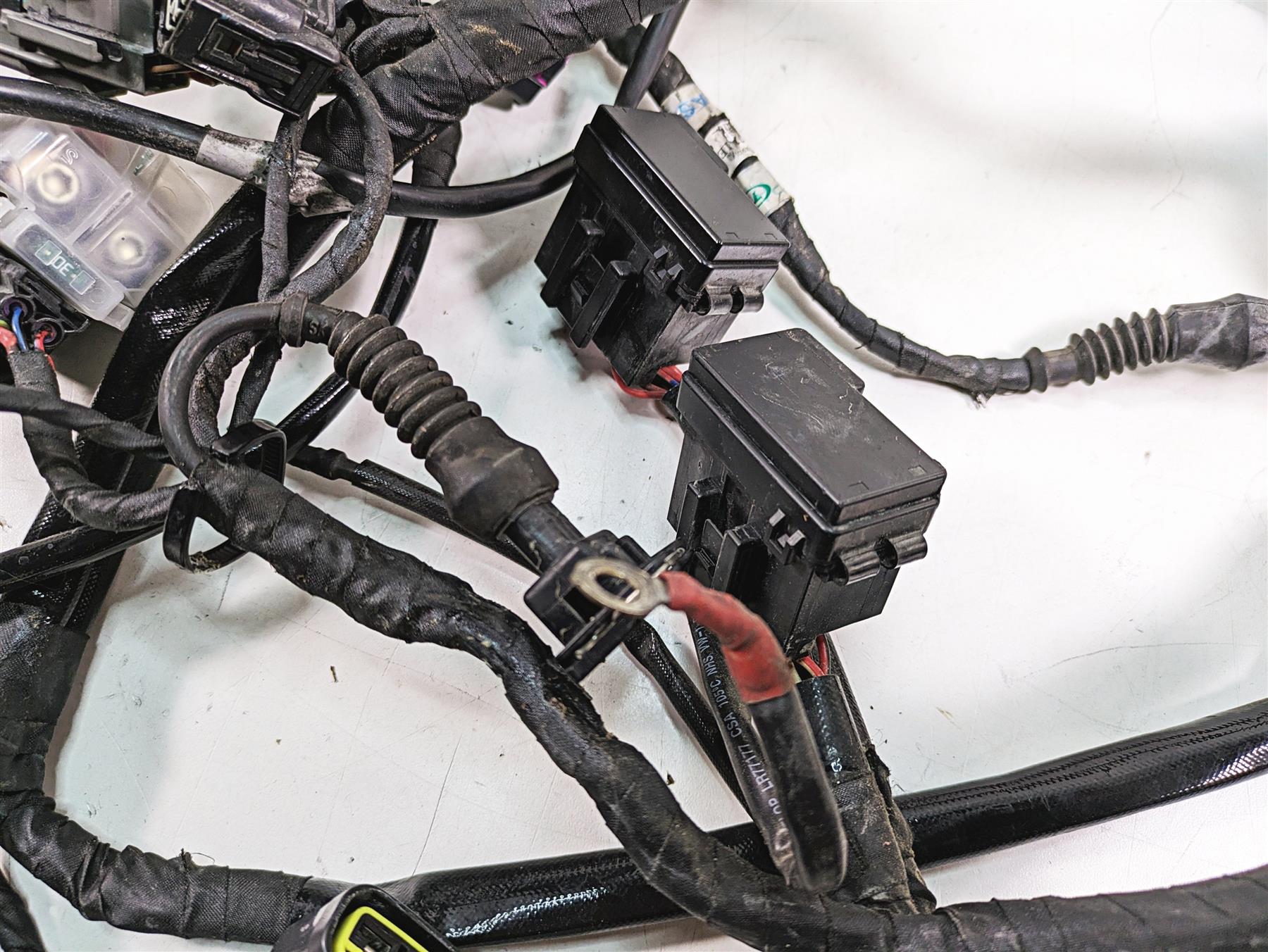 2016 Ducati Panigale 1299 S Wiring Harness Loom -Read 5101A011D {{ shop.shopifyCountryName }} - Mototech271