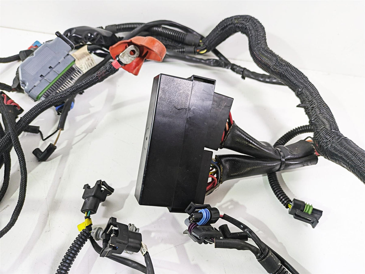 2006 Harley VRSCR Street V-Rod Main & Engine Wiring Harness 70162-06 {{ shop.shopifyCountryName }} - Mototech271