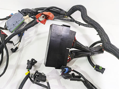 2006 Harley VRSCR Street V-Rod Main & Engine Wiring Harness 70162-06 {{ shop.shopifyCountryName }} - Mototech271