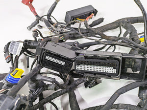 2012 BMW R1200R K27 Main & Engine Wiring Harness Abs Gen2 - Read 61118521379 | Mototech271