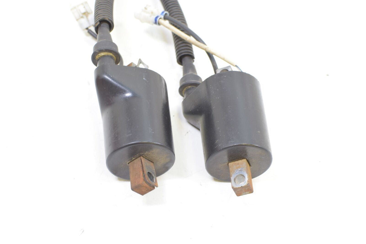 2010 Polaris Dragon RMK 800 S10PG8ESA Ignition Coil Set 4012136 {{ shop.shopifyCountryName }} - Mototech271