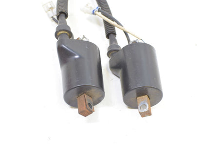 2010 Polaris Dragon RMK 800 S10PG8ESA Ignition Coil Set 4012136 {{ shop.shopifyCountryName }} - Mototech271