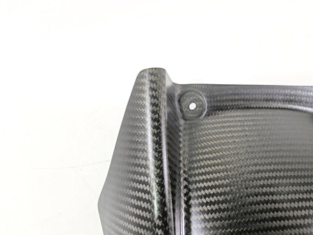 2017 Aprilia RSV 1100 Tuono V4 Factory Rear Carbon Fiber Fender Guard 890969 {{ shop.shopifyCountryName }} - Mototech271