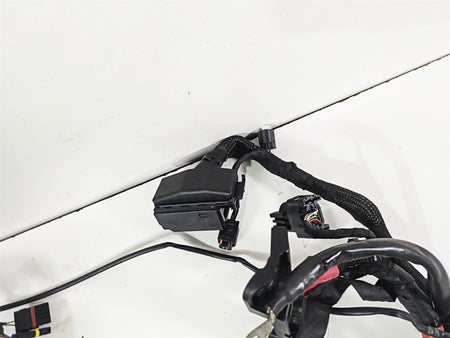 2015 BMW R nineT K21 Main & Engine Wiring Harness Set 61118548701 61118552922 {{ shop.shopifyCountryName }} - Mototech271