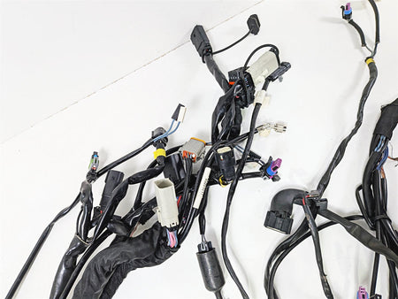 2015 Harley Touring FLTRUSE CVO Road Glide Main Wiring Harness Loom 69200959-Mototech271