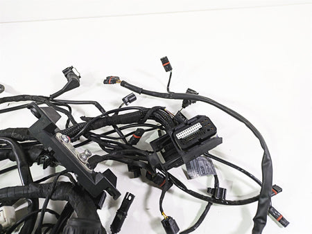 2014 BMW R nine T R9T K21 Main & Engine Wiring Harness Set - No Cuts 61118552922 {{ shop.shopifyCountryName }} - Mototech271