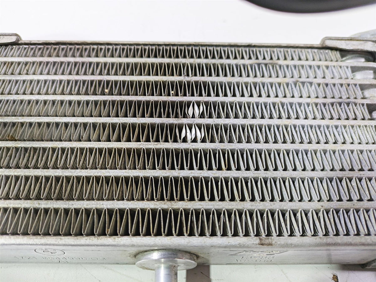 2019 BMW S1000XR K49 Oil Cooler & Lines Straight No Leaks 17218545633 {{ shop.shopifyCountryName }} - Mototech271