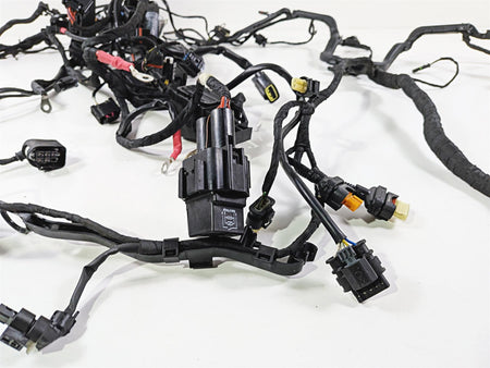 2019 BMW R1250GS K50 Main & Engine Wiring Harness Esa - No Cuts 61119480785 {{ shop.shopifyCountryName }} - Mototech271