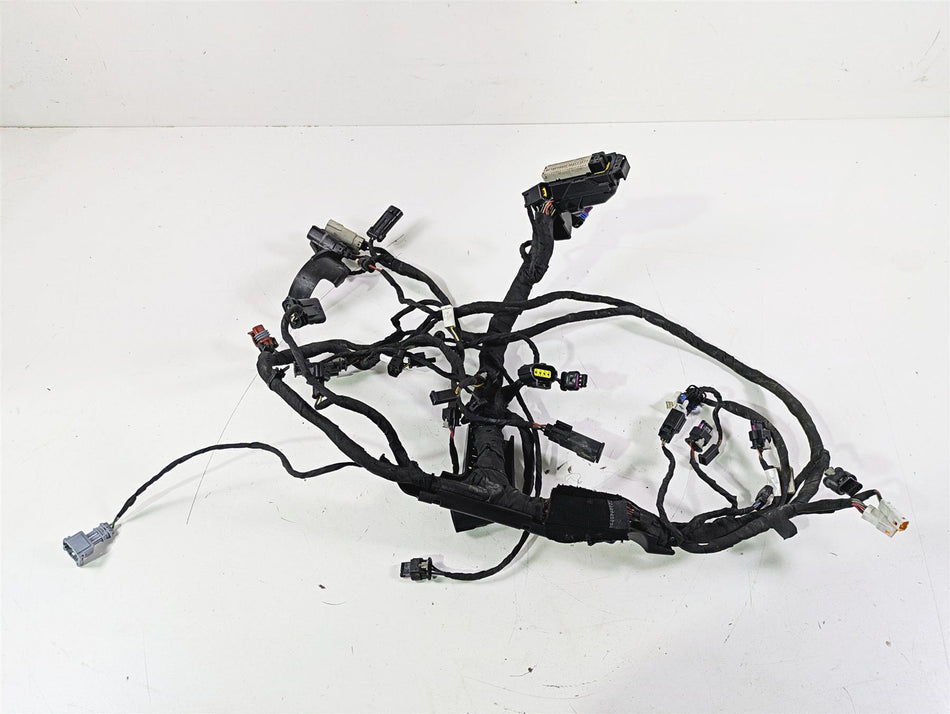 2022 Harley RA1250 S Pan America Engine Wiring Harness No Cuts 69201899A {{ shop.shopifyCountryName }} - Mototech271