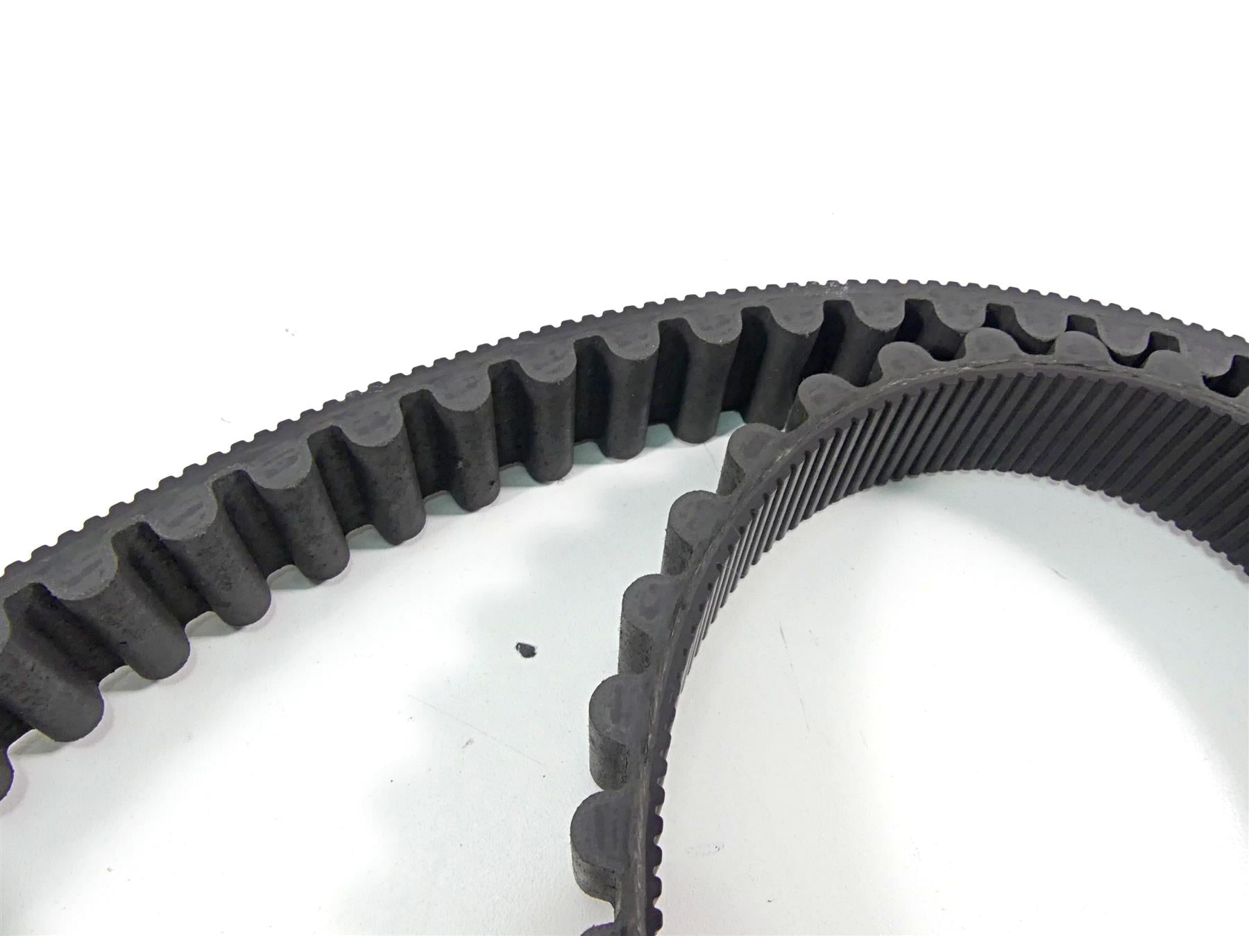 2005 Harley Sportster XL1200 C Nice Rear Drive Belt 137T 1 1/8" 40571-04B {{ shop.shopifyCountryName }} - Mototech271