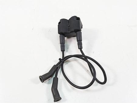 2006 Harley Touring FLHXI Street Glide Delphi Ignition Coil Wires Plugs 31743-01 {{ shop.shopifyCountryName }} - Mototech271