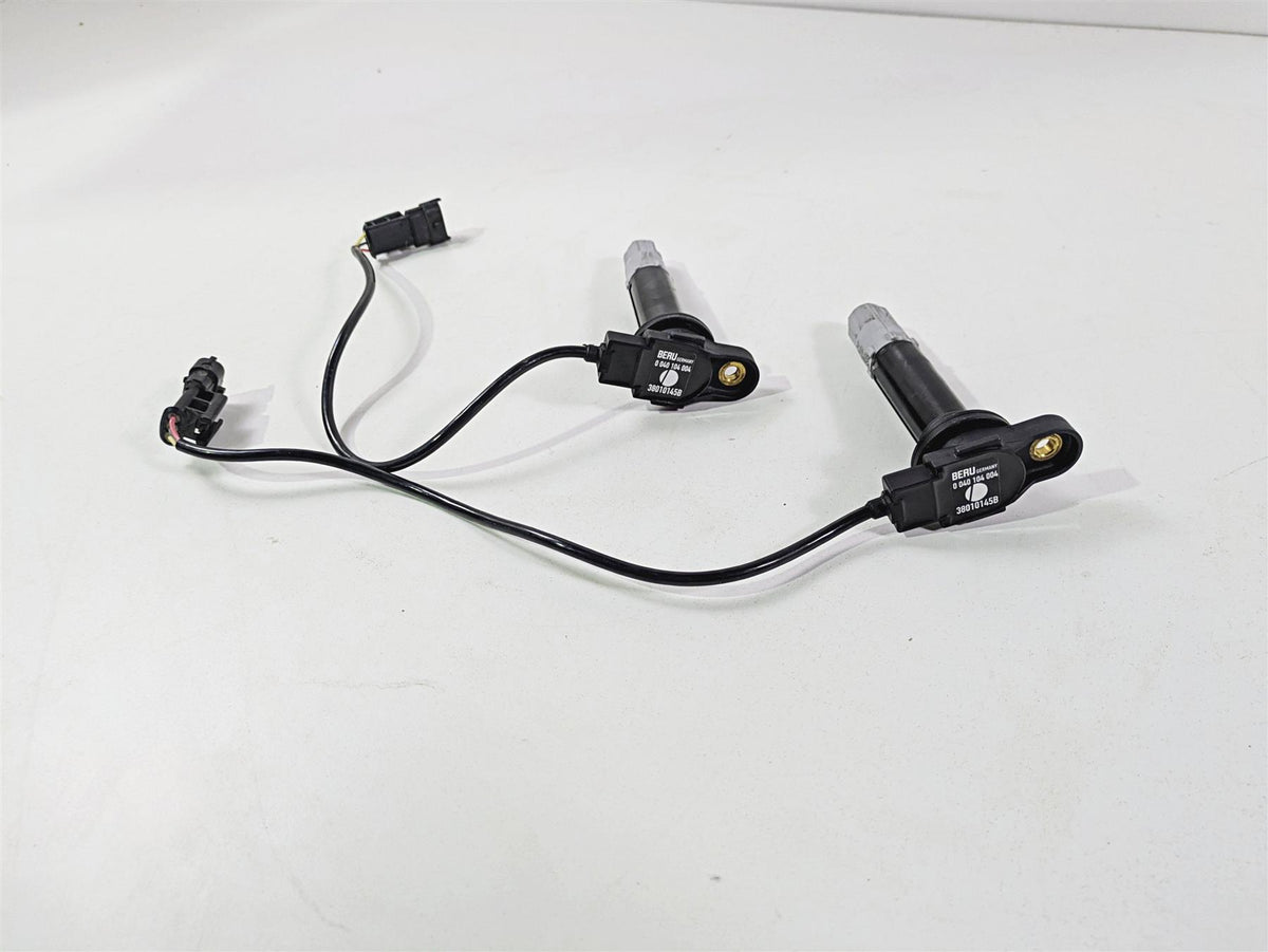 2022 Ducati Hypermotard 950 Beru Ignition Coil Set 4K 38010145B {{ shop.shopifyCountryName }} - Mototech271