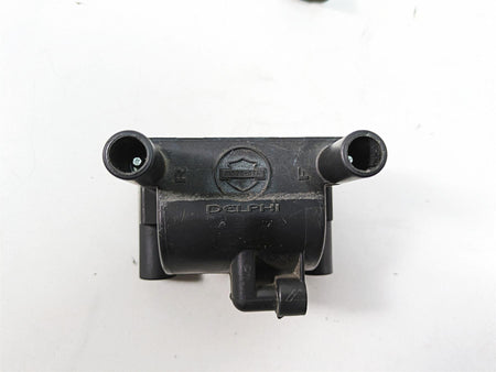 2011 Harley Touring FLTRU Road Glide Delphi Ignition Coil Wires Plugs 31696-07A {{ shop.shopifyCountryName }} - Mototech271