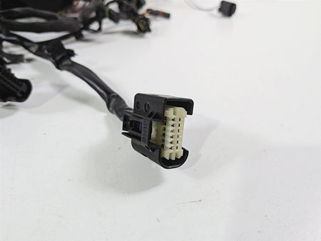 2016 BMW S1000RR K46 Main Wiring Harness loom Abs Ddc Esa - Read 61118556087-Mototech271