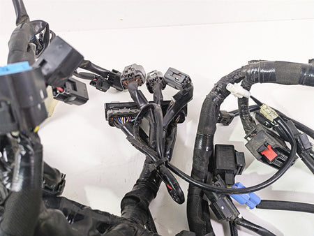 2020 Kawasaki Z900 ZR900 Main Wiring Harness Loom - No Cuts US 26031-2852 {{ shop.shopifyCountryName }} - Mototech271