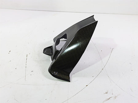 2017 BMW S1000RR K46 Carbon Fiber Rear Fender Guard {{ shop.shopifyCountryName }} - Mototech271