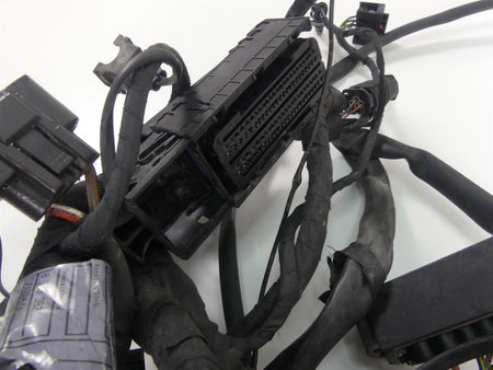 2016 BMW S1000XR K49 Main & Engine Wiring Harness Esa Heat - No Cuts 61118565232 {{ shop.shopifyCountryName }} - Mototech271