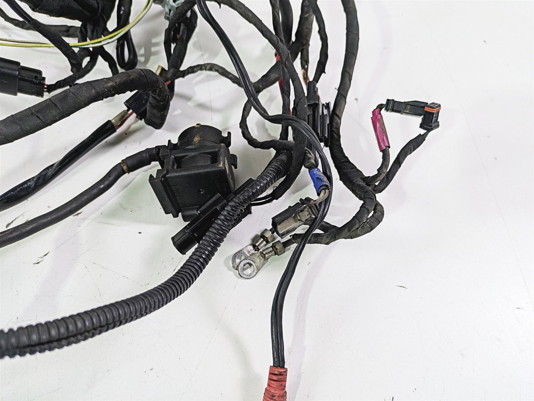 2022 Harley RA1250 S Pan America Wiring Harness Loom - For Parts 69202185 {{ shop.shopifyCountryName }} - Mototech271