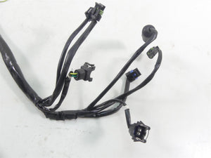 2001 Harley Touring FLHRCI Road King Engine Efi Wiring Harness - No Cut 70233-01