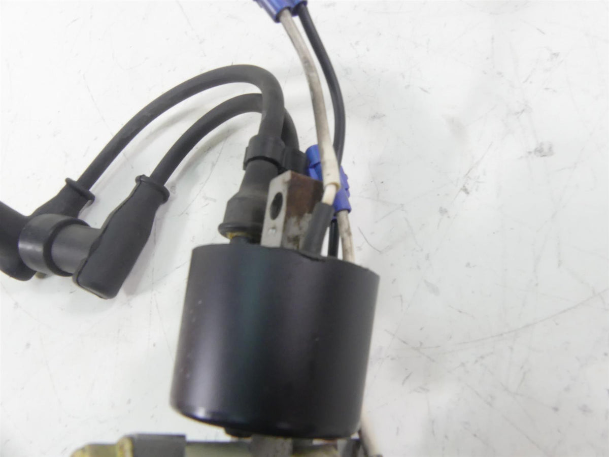 2017 Arctic Mountain Cat M8000 153 Ignition Coil Coils Wire Set 3007-548 {{ shop.shopifyCountryName }} - Mototech271