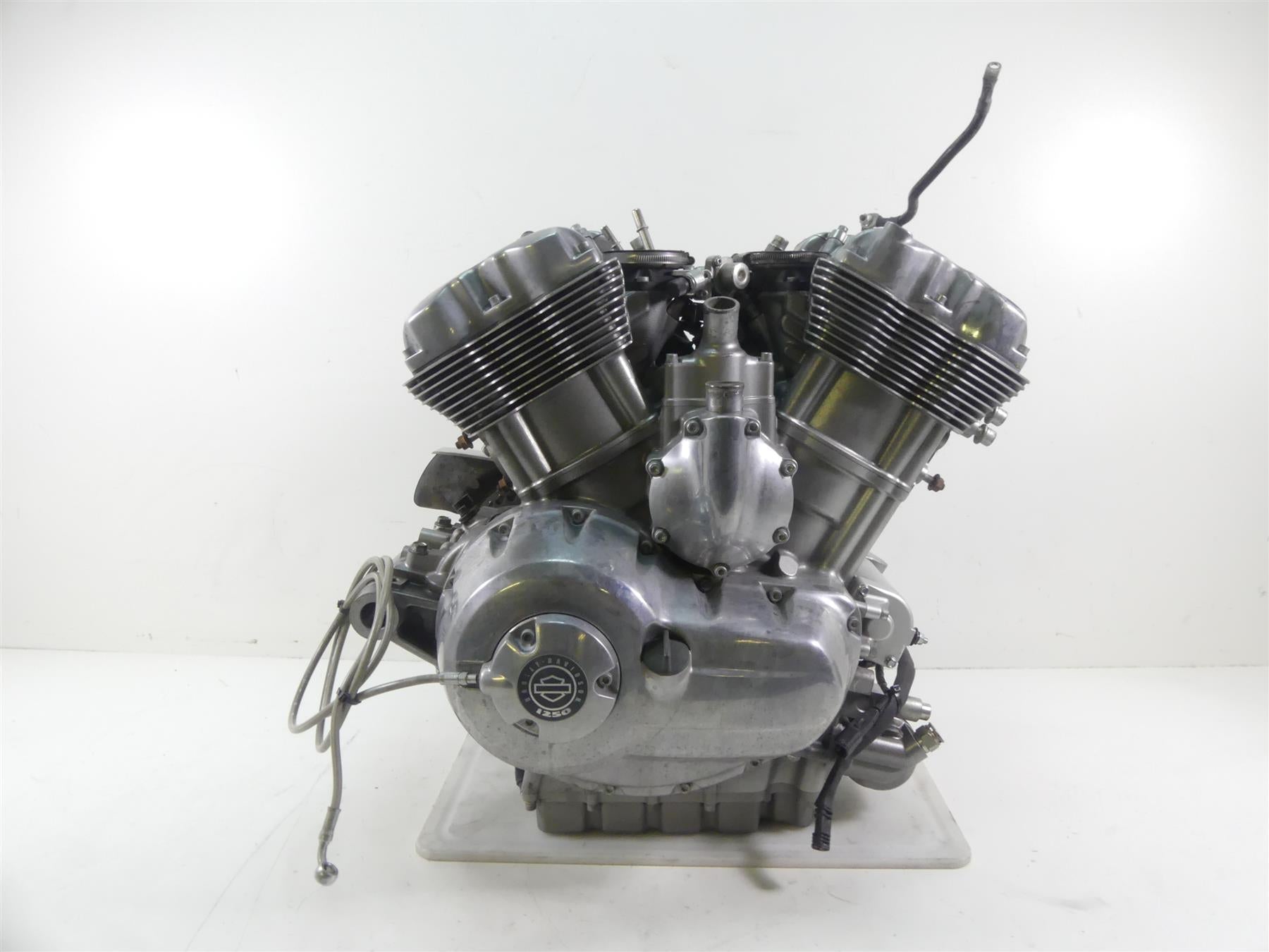 2013 Harley VRSCF Muscle V-Rod Running 1250ccm Engine Motor 15K -Video 19974-17K {{ shop.shopifyCountryName }} - Mototech271