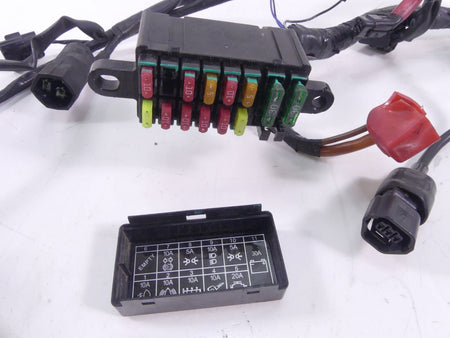 2013 Triumph America EFI Main Wiring Harness Loom - Read T2502502 {{ shop.shopifyCountryName }} - Mototech271
