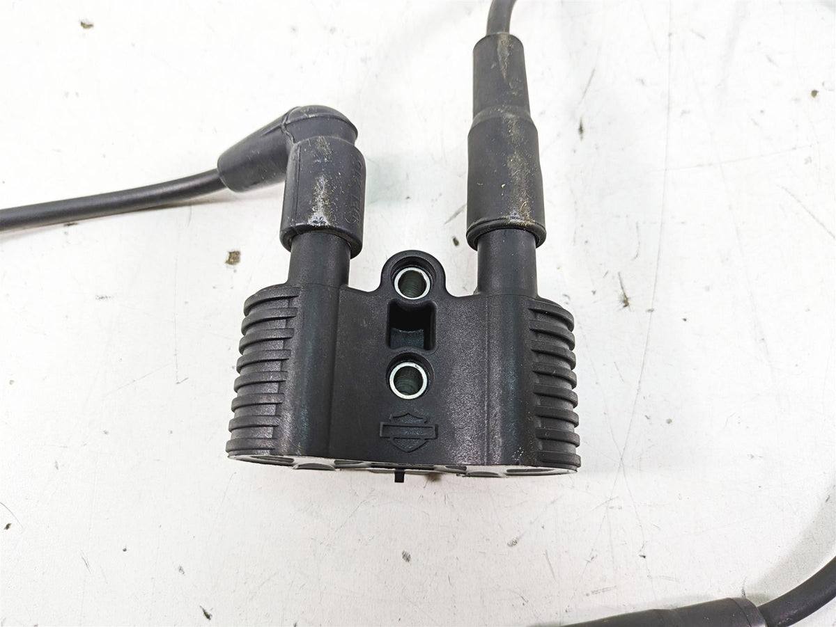 2017 Harley XL883 N Sportster Iron Ignition Coil Wires & Plugs 31656-07 {{ shop.shopifyCountryName }} - Mototech271